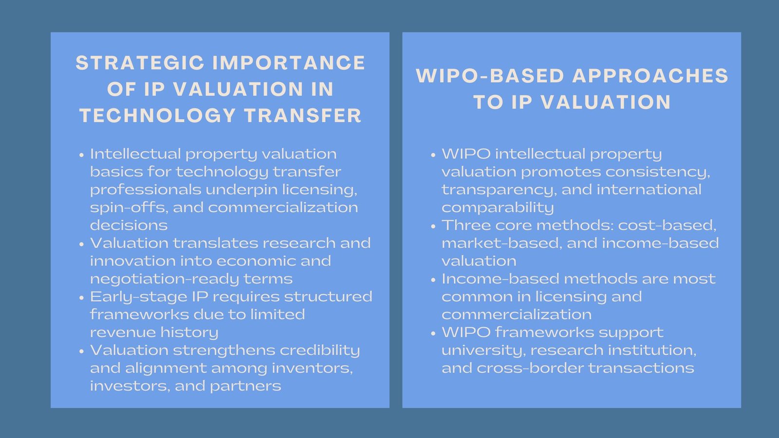Professional WIPO Intellectual Property Valuation